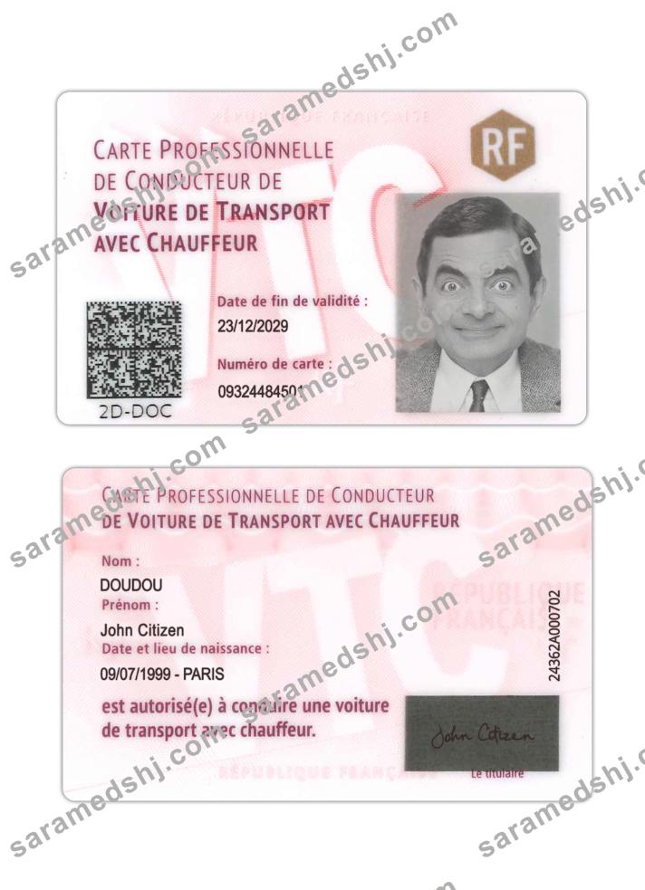 France professional driver's card